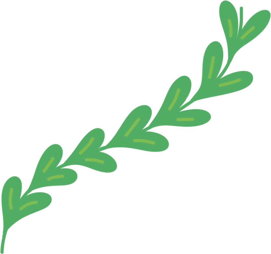 Long leaves